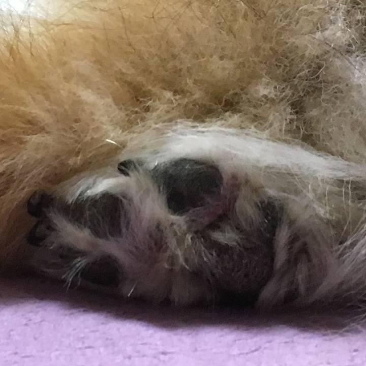 6fbeee1c dc5a 40ca 9b18 016724275c6b 1649736771432