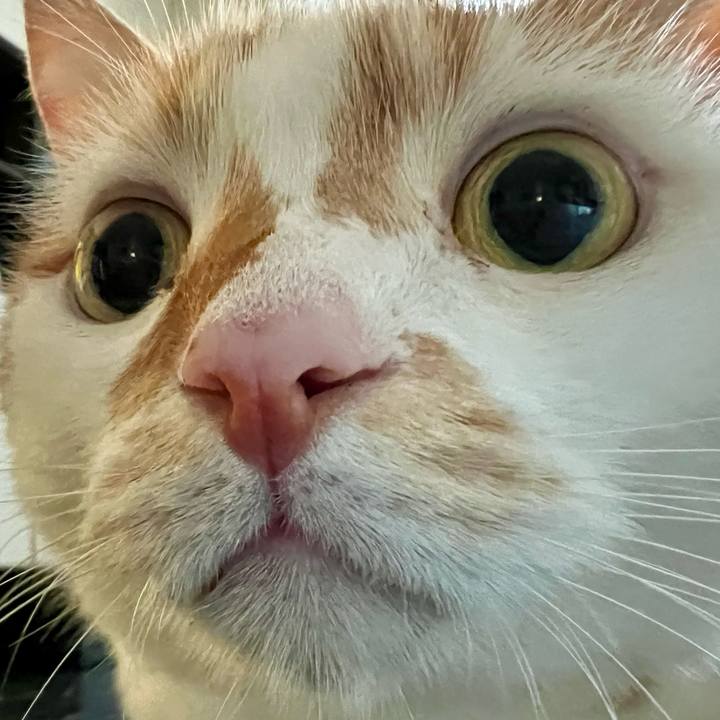 6fbfa0ed e5a4 43b4 9d63 400d488035d6 1756524162169