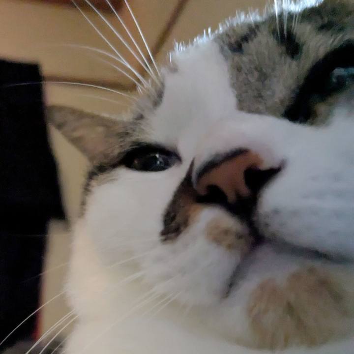 6fbfa5cb 5417 4e81 a413 44bc330ebf82 1761437036150