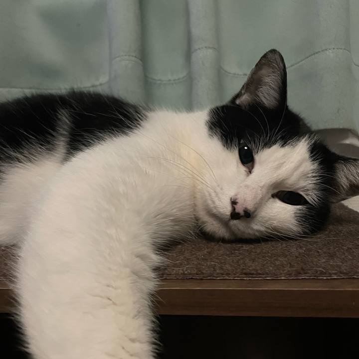 6fbfde82 ae69 470e b3c5 ee9b56f15ffd 1672254217432