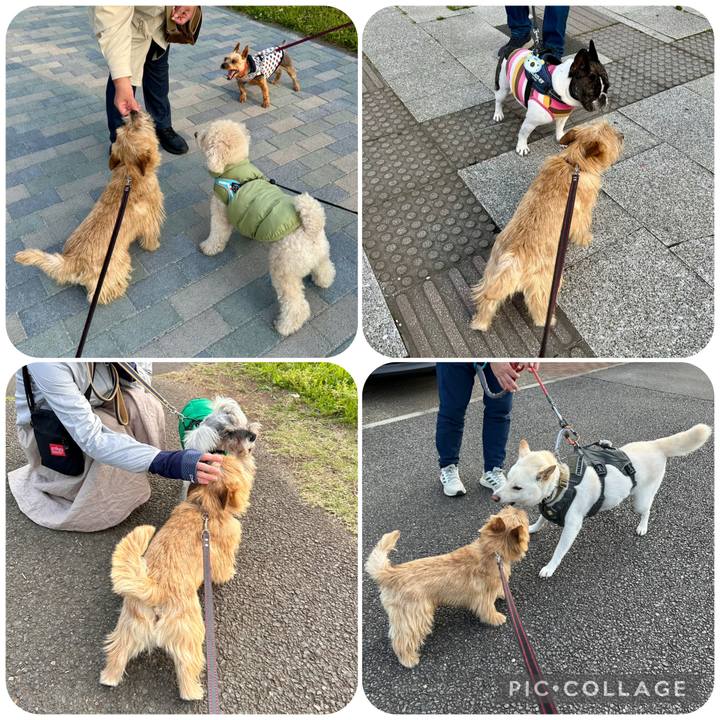 6fbfe039 6dd6 456a b14a 04ae46dffd45 1746058643128