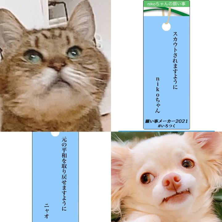 6fbff038 f40f 4020 9621 58c805c0711c 1625570042726