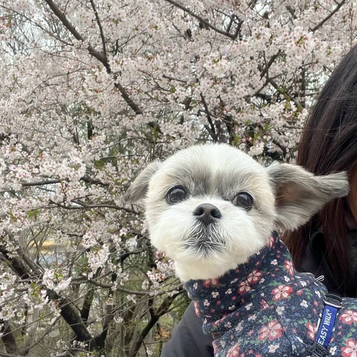 6fbff04c 0f6c 4367 b85d c889eef65180 1744293629201