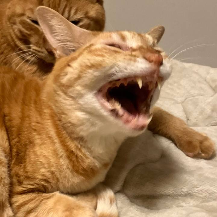 6fbff08b 9fd1 4f3d 8766 5eef3f47b73a 1768638529200