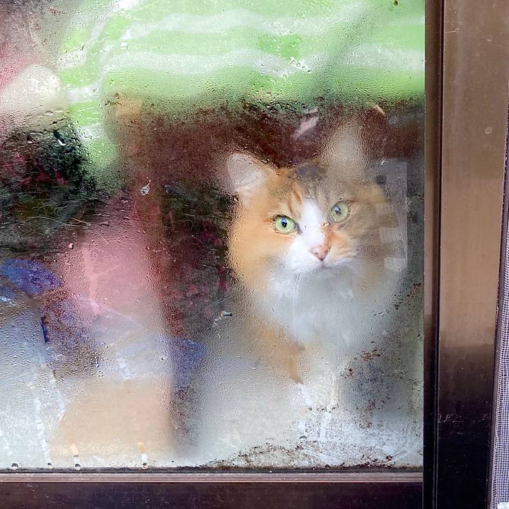 6fc01c8d 052f 4bc7 8175 34dc002775f1 1630987854132