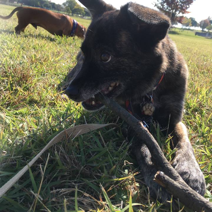 6fc0232d 827f 4267 b37c ecd50632de8c 1509971784218