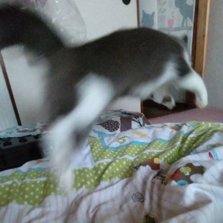 6fc02583 1bd3 435a 92a0 1a568b7b3f07 1633172048642