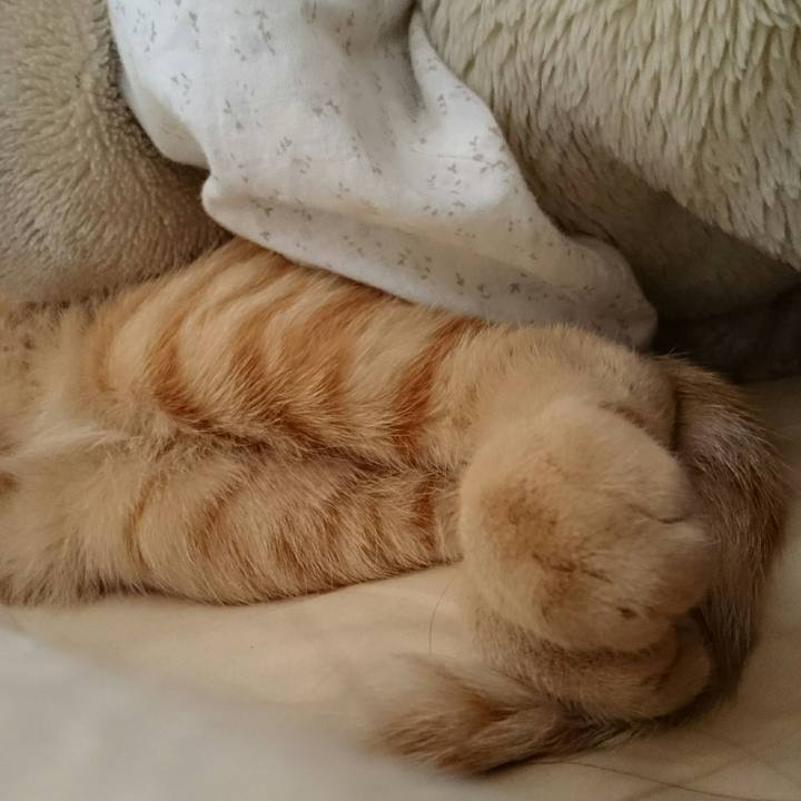 6fc02c1d 65d4 4eb2 92f3 7fb7cc5ae1ca 1552019426717