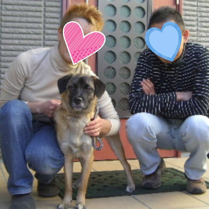 6fc04ab0 ce49 4d44 a19b 771820b7582f 1670549739382