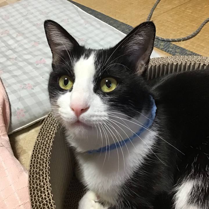 6fc0b7bf e288 4634 bff5 769970fcc719 1698061853555