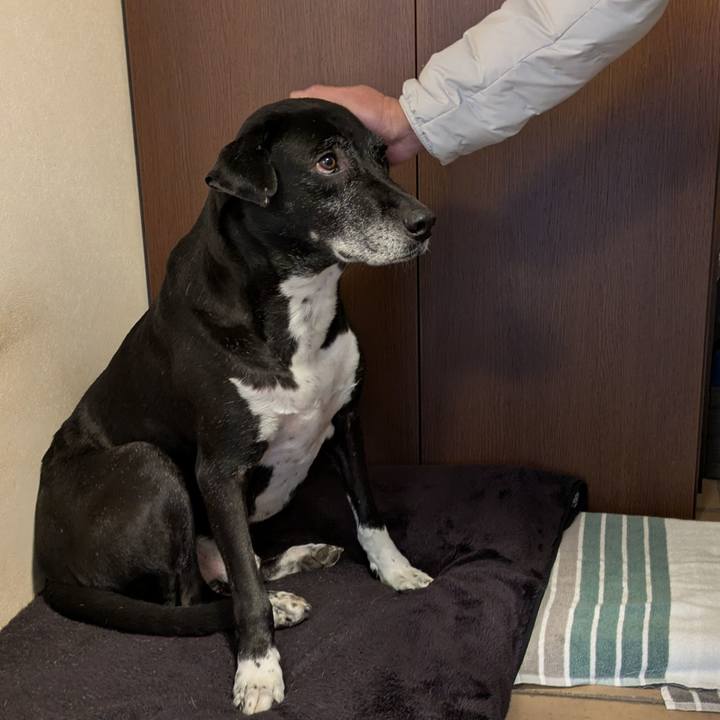 6fc0d4a2 24a2 4e8f aef2 a268a50e9bb5 1736898415210