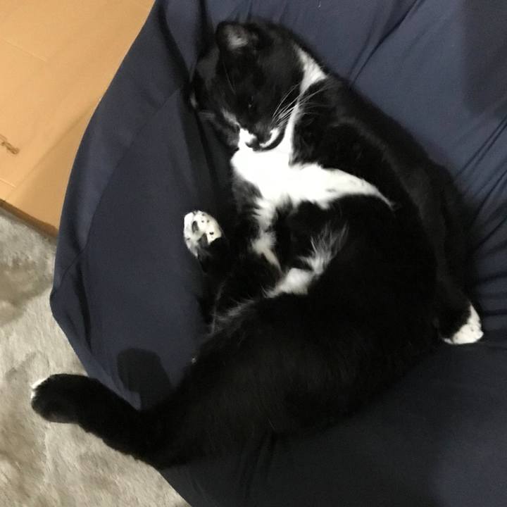 6fc110c5 7526 46c7 b330 7786edc1d962 1677813791637