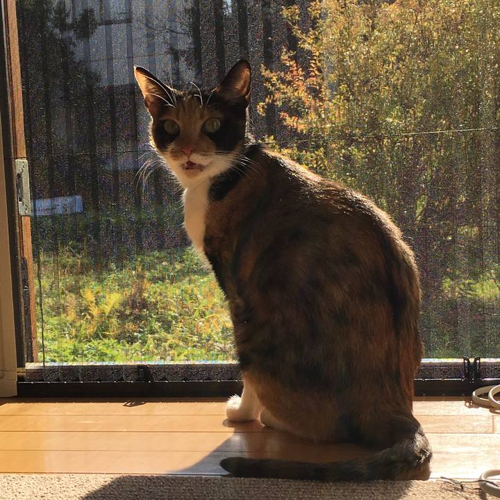 6fc1144f a208 4927 b0e8 7249dc6d308f 1510732290469