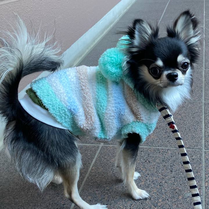 6fc11ebb a0a9 4507 8735 492ba2041134 1609736572842