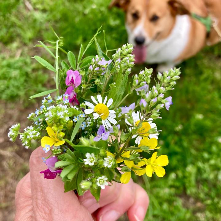 6fc135a9 278f 4794 93c4 10f26a7a316b 1714437235508