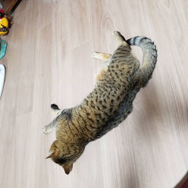 6fc16ede 1e3d 4b12 bcd4 b1004b6add96 1583326408291