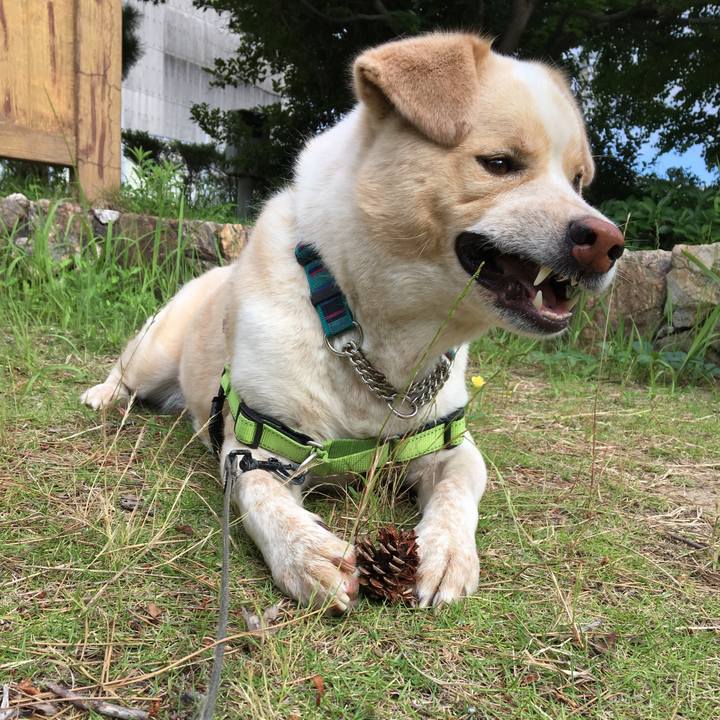 6fc19bbd 0e00 48a5 8c18 d3c0d66aa1f4 1528853910083