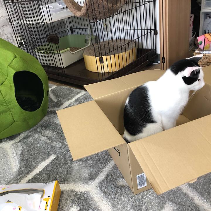 6fc1aa4e bc2d 4f03 b2b7 02c8ea0c9388 1543461786693