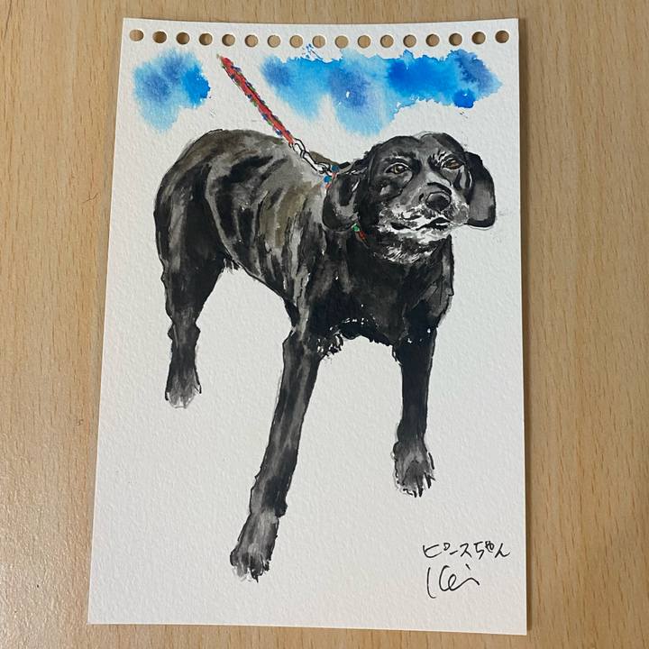 6fc1c743 ad45 45ad 8ab3 76ce573be008 1713171962257