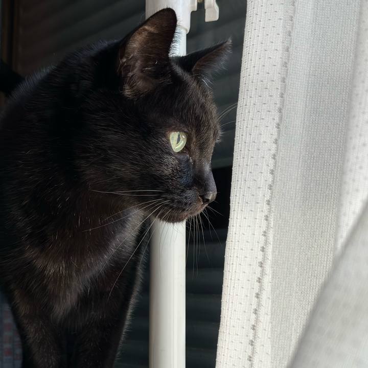 6fc1d07f f152 4f56 9267 f86180b0ace2 1666231282532