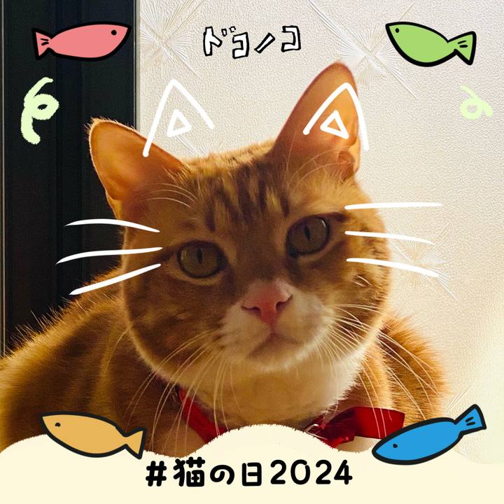 6fc1ec48 e1f6 4653 bf5b 555c48c1f2f9 1708546707896