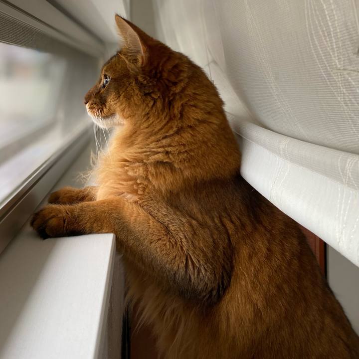 6fc1f947 7cc2 45e0 a628 1f2f2194bac3 1656381426142