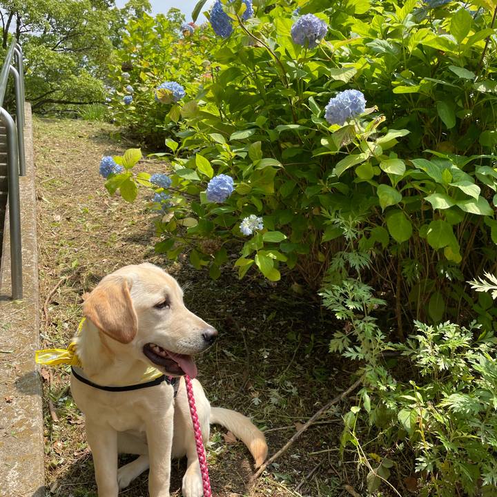 6fc1fd83 63e5 4bab 93d4 b6cf3d915ea2 1622501764646