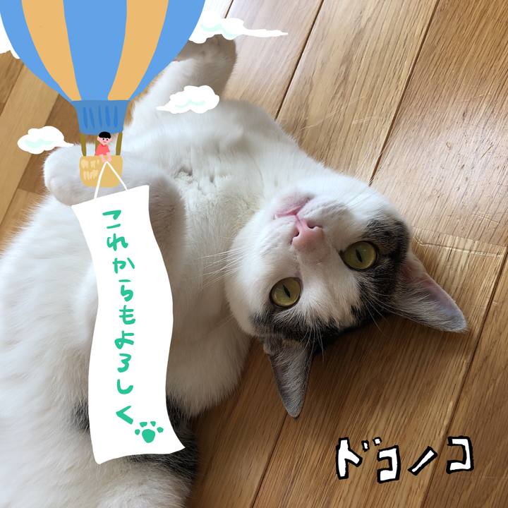 6fc20932 6c8b 423b 9801 04939f048d44 1685970188386