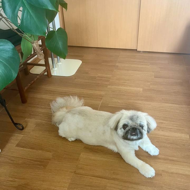 6fc22162 d797 40f8 8a9d 77a1363d7504 1723673758555