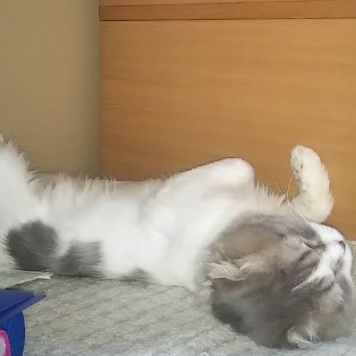 6fc26286 9891 4be5 80d9 c1f296e7394f 1627333594219