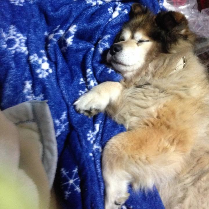 6fc2a67d 345b 44c2 b12c 1c60de8a1680 1640329816491