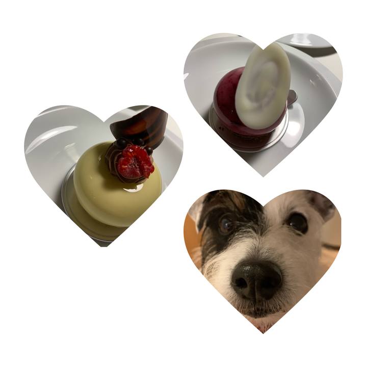 6fc2c7ff 60a5 4e04 81ba d0e231f63fa1 1641384903826