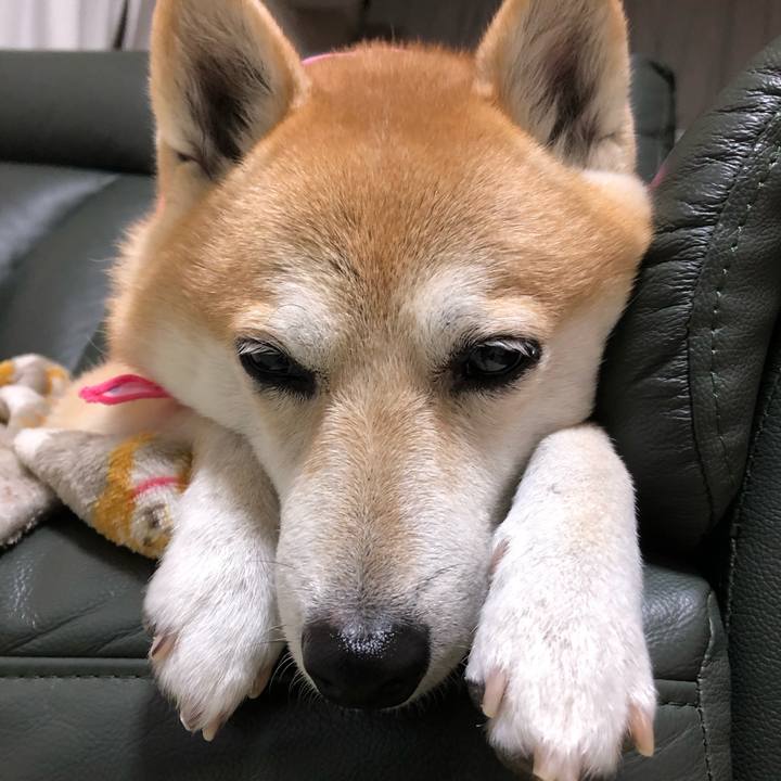 6fc2d5f1 bf3b 4a75 9099 7dc75fbb3fb8 1604555925235