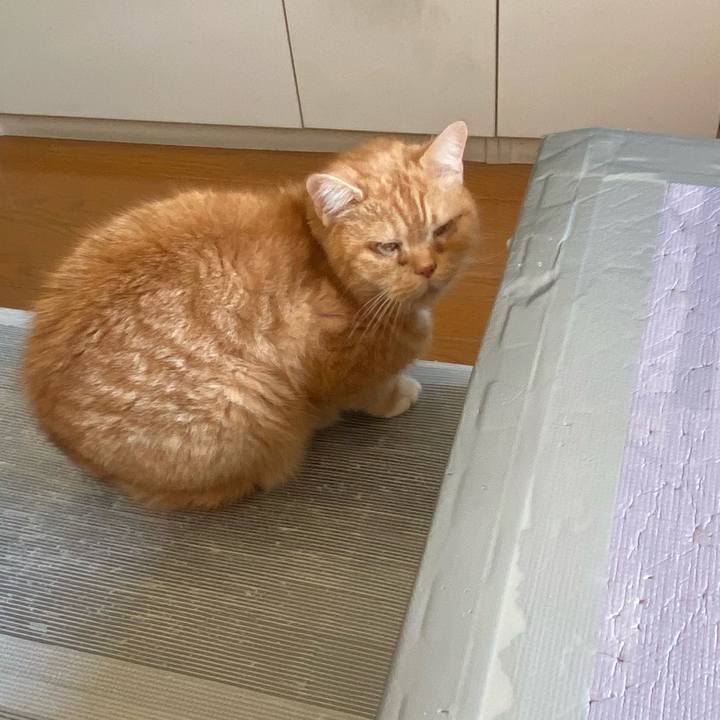 6fc2e75d 7f80 491b b7f7 6d53c3767a12 1672617375937