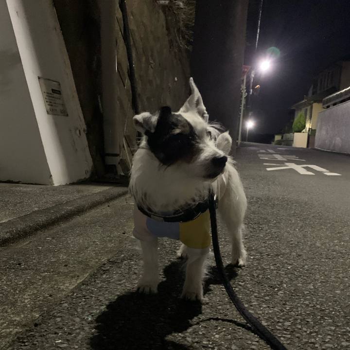 6fc2efde 40f3 48f7 a538 09eabcb077f4 1710764300592