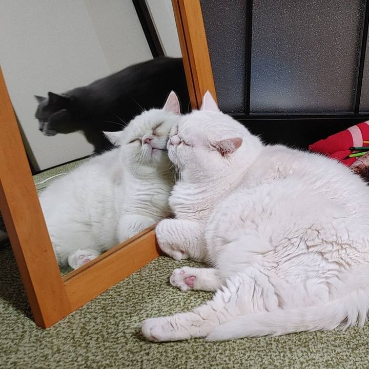 6fc2f564 ee05 46e8 95ae 8f02c2309706 1753619830320