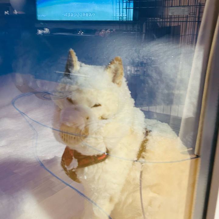 6fc30d8a 8821 4b68 be74 59724cc83960 1769812814365