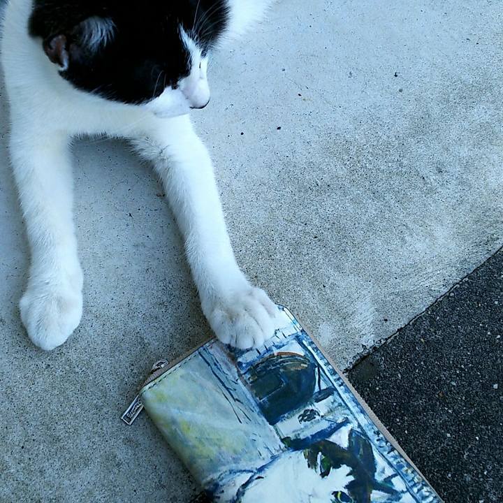 6fc3461e 1aae 47ca 83a1 8b5e08d9e567 1534927058966