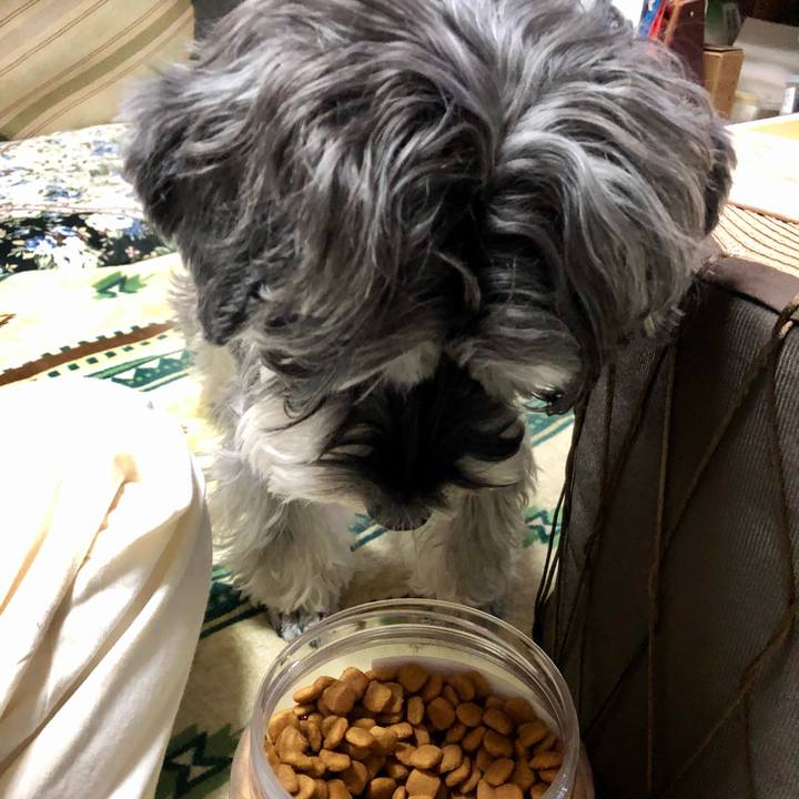 6fc35286 4c10 45aa 93e0 2f84184543ad 1675772639749