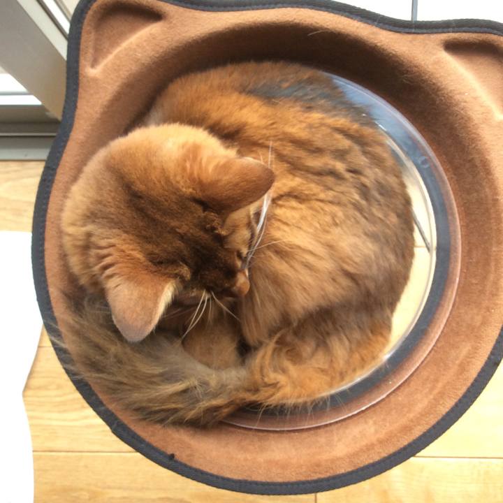 6fc3660f f69b 4479 b46c a560af42ca60 1614747320601