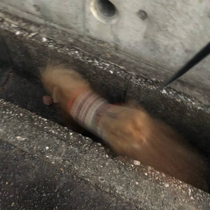 6fc37ef5 ab4b 4c56 926e d33843f11866 1543527142556