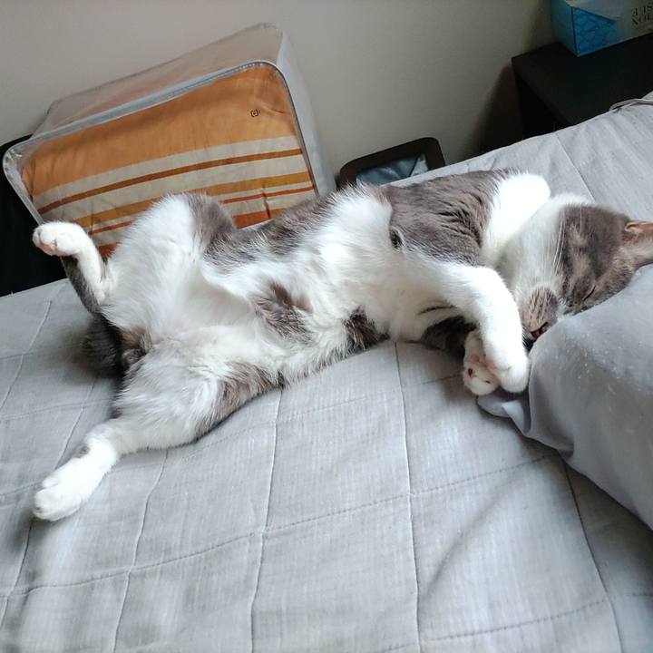 6fc37f63 56af 461b 91b4 d2da5cae7910 1661648185632