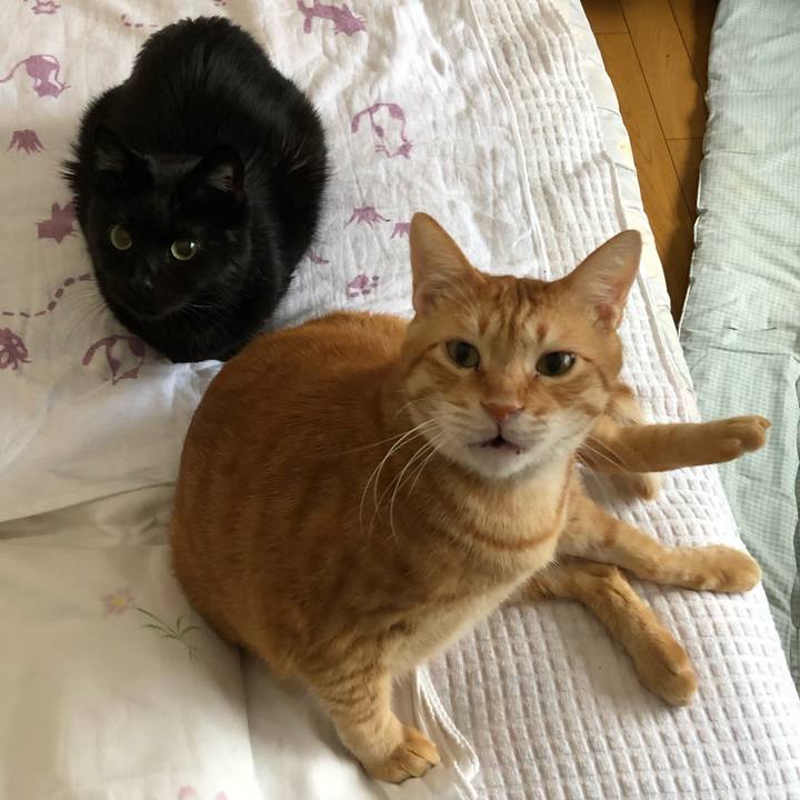 6fc384a4 f542 4228 abaa c075477acd4b 1575070904409