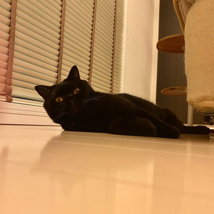 6fc3a47d c6f1 4868 aee6 7b9048b62223 1726142240248