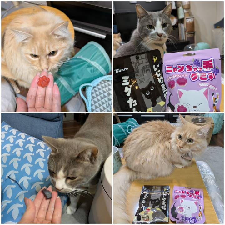 6fc3d19e 7b31 4b04 bc1a 557fa4b38cc7 1740481645546