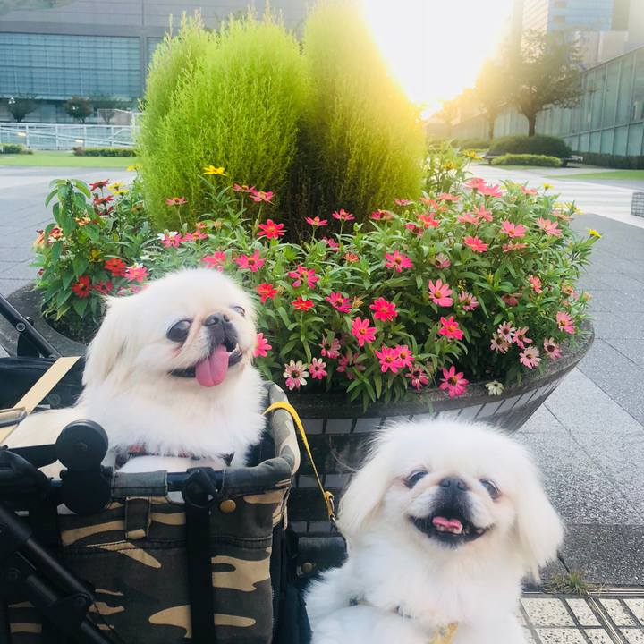 6fc3e66c 2ac9 4e67 a400 51832095d025 1600725411361