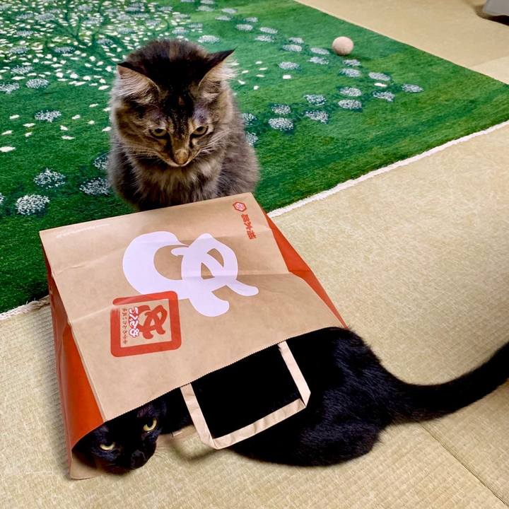 6fc4719a 103c 44c2 81af 8dc57e0bd7f8 1655559258741