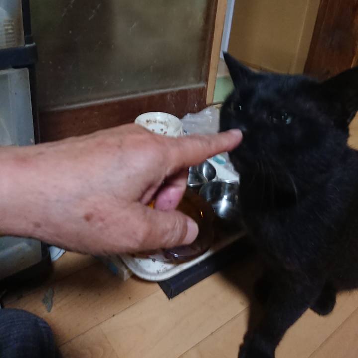 6fc4922f 374a 4229 a03b d8d0dae4dd29 1628163905807