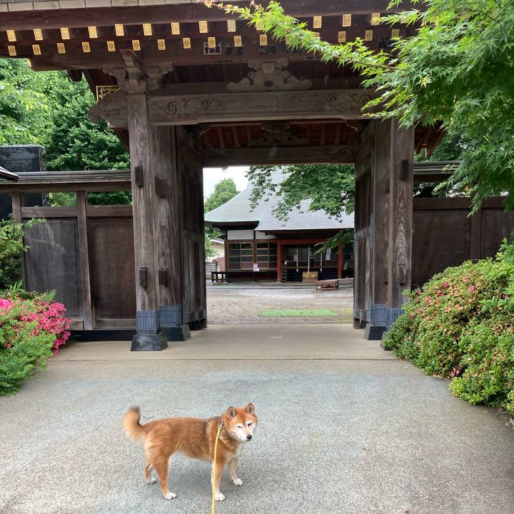 6fc4ed4f 856e 45de 8006 86865d6cfff3 1654577444597