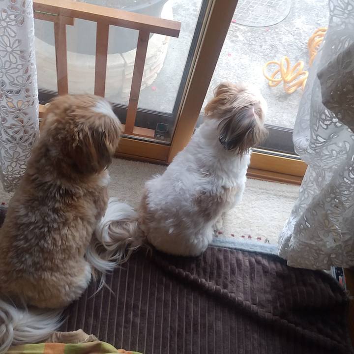 6fc50912 0858 4909 bb58 13154c36a750 1615273931588